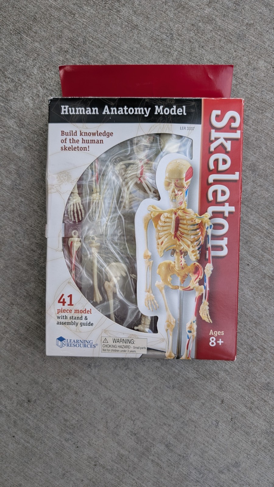 Learning Resources Human Anatomy Model Skeleton 41pc w/ Stand LER 3337 Lab
