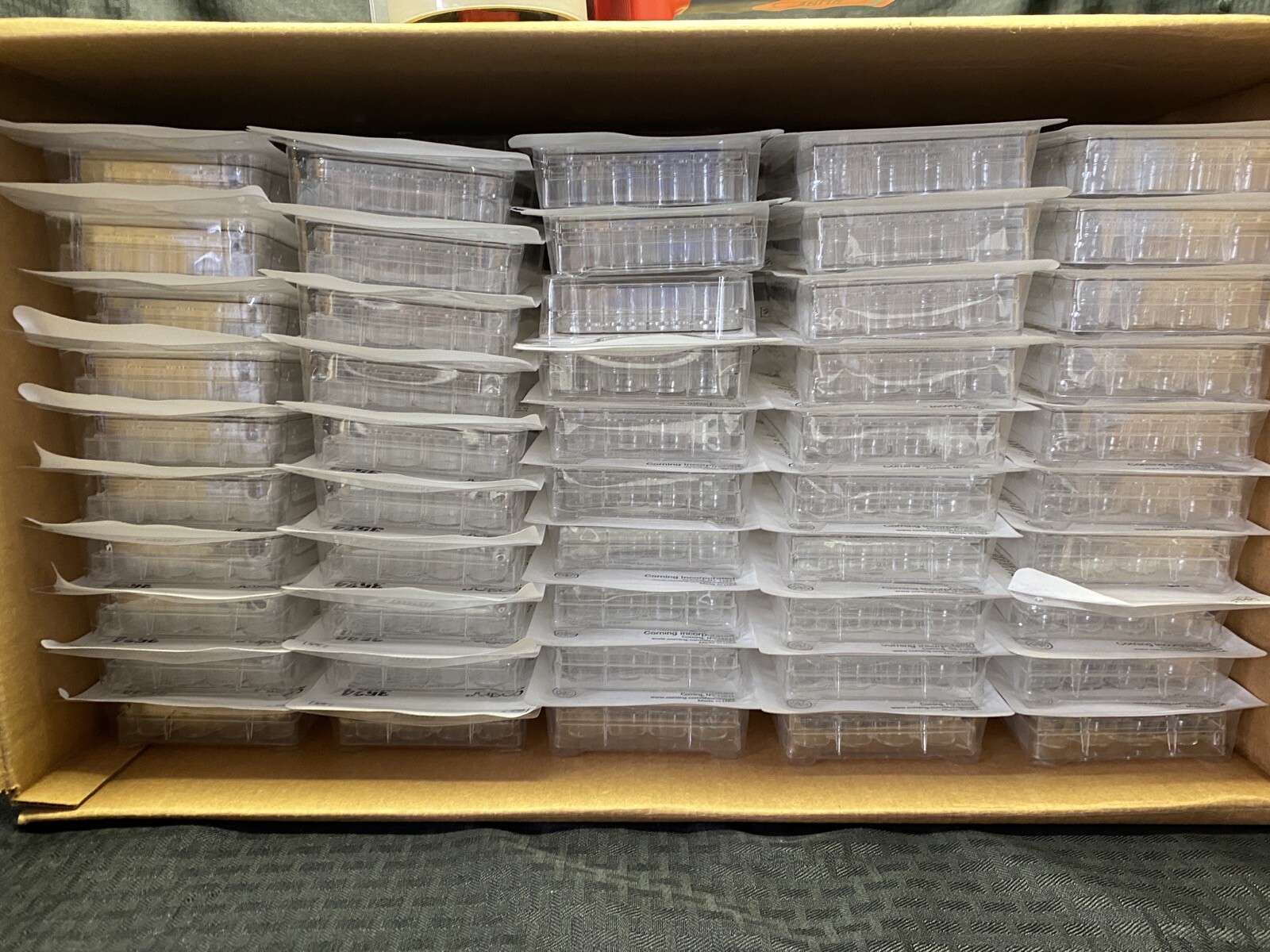 (100) Corning Costar 24-Well Polystyrene TC Treated Cell Culture Plate, 3524