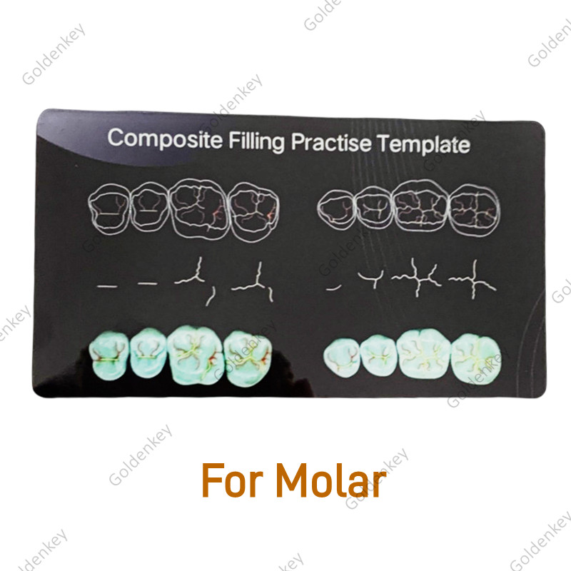 6Pc Dental Composite Resin Filling Model Dentist Build Up Teeth Morphology Board