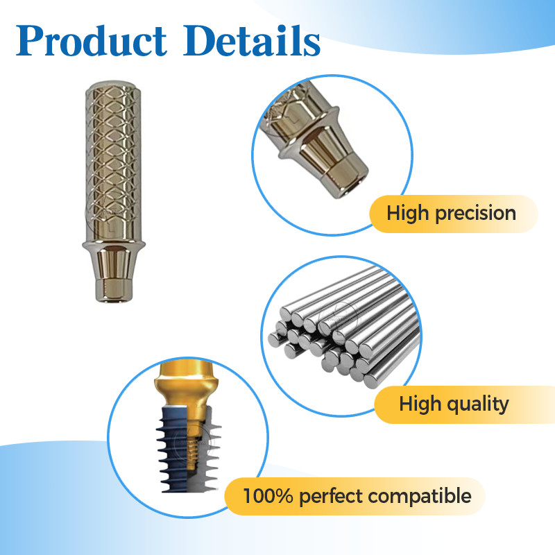 2Pcs Temporary Cylinder Abutment compatible with Hiossen Osstem TS Mini /Regular