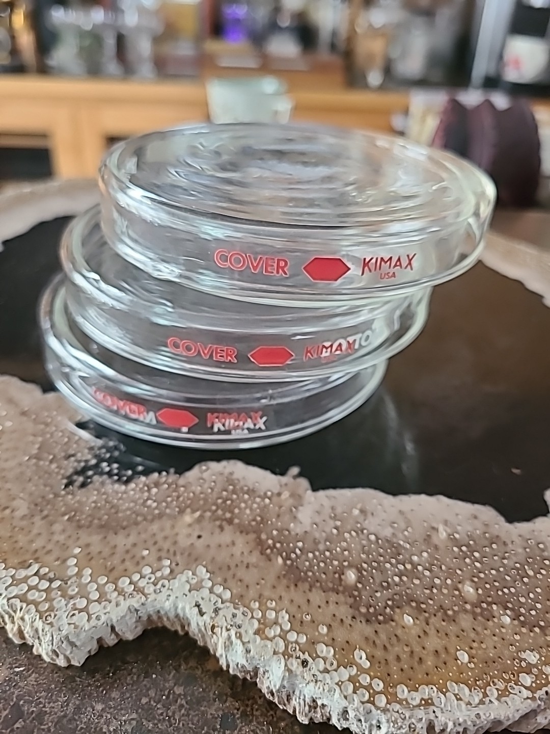 Set of 3 Kimax Glass Petri Dishes 100×10 mm Biology Medical Lab Culture Plates