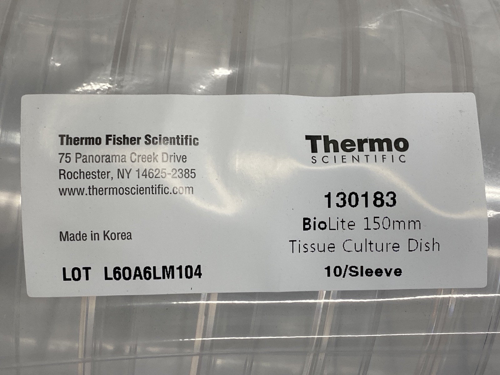 (40) THERMO BioLite 150mm x 20mm Cell Culture-Treated Petri Dishes 35mL 130183
