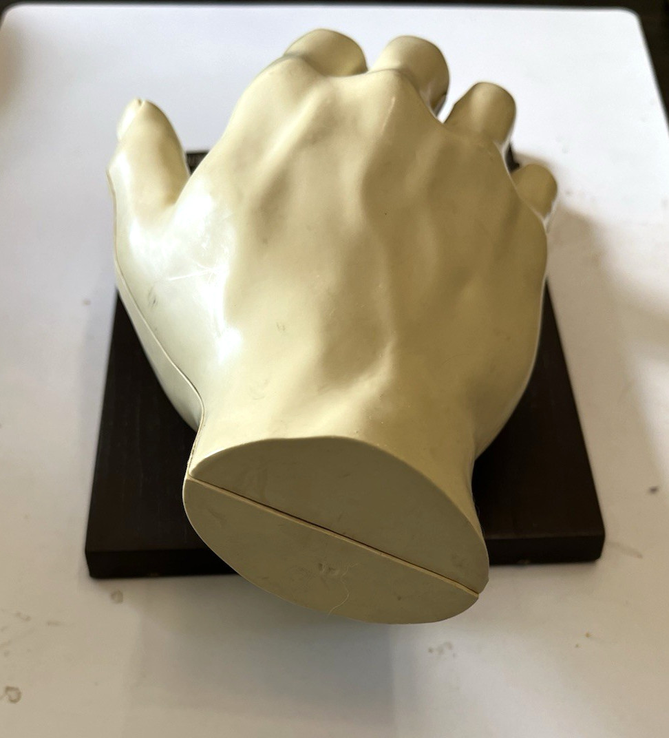 Vintage Merck Anatomical Medical Hand Model Indocin With Booklets 1967 Display