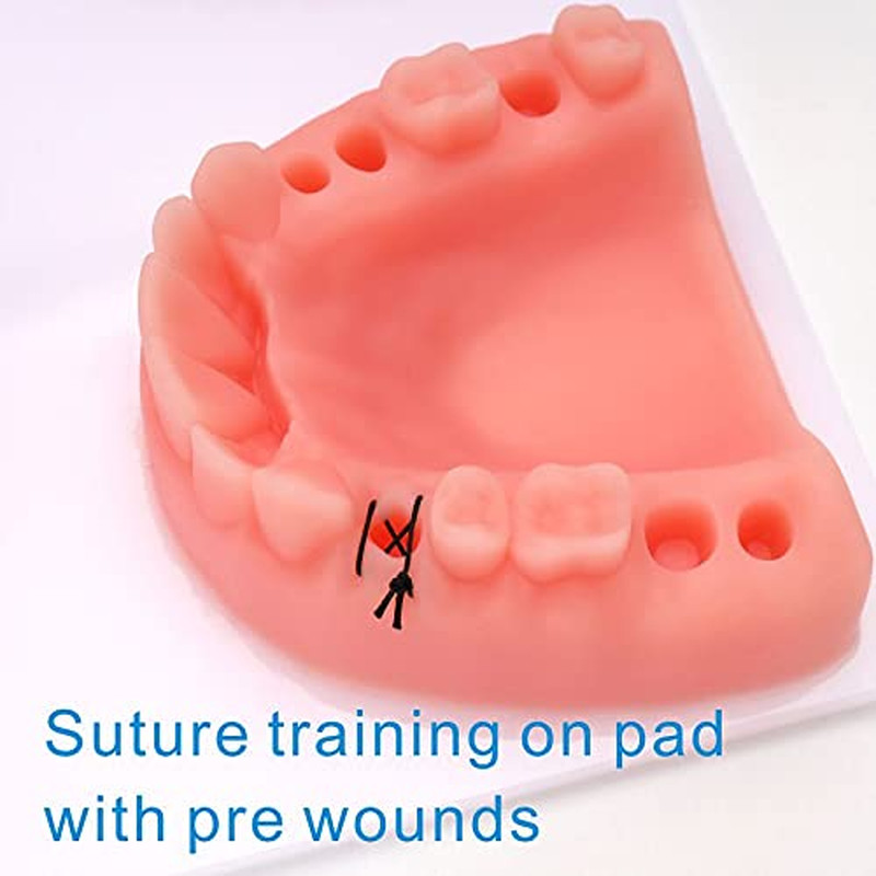 New Generation Dental Suture Pad Practice Kits Oral Suture Training Kits