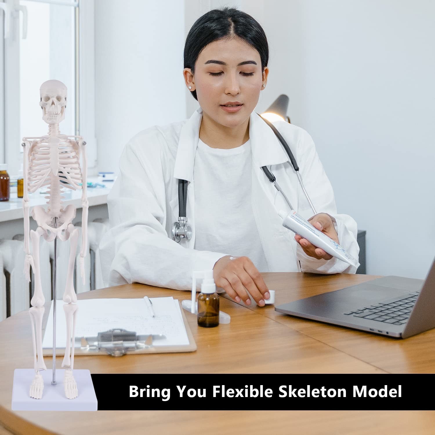 17″ Mini Human Skeleton Model – Anatomical Study Tool with Movable Arms & Legs,