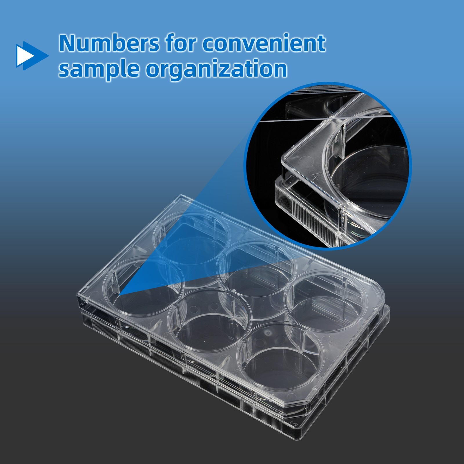 6-Well Polystyrene Cell Culture Plates with Lids, Individual Wrapped Plates, Ste