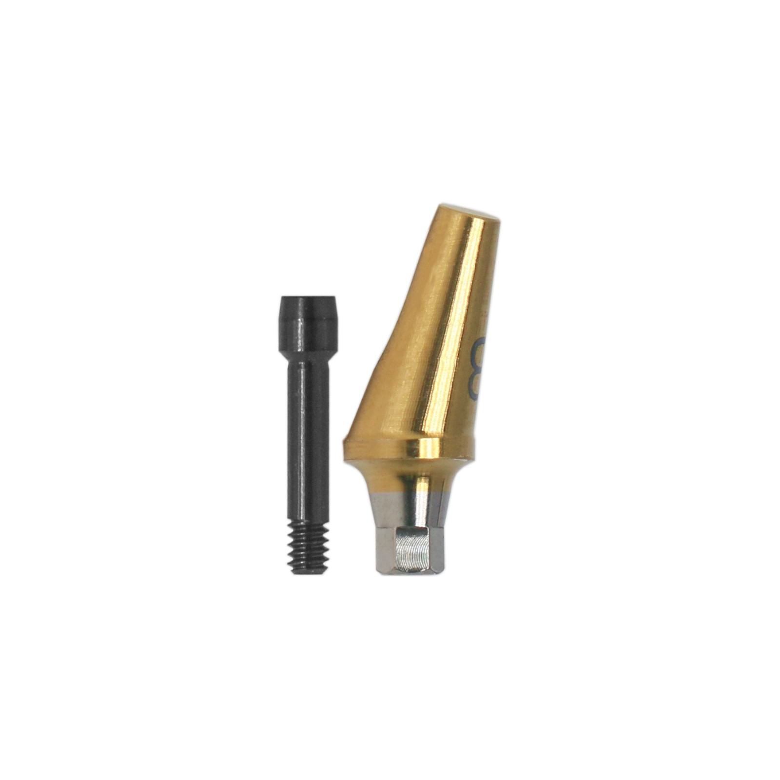Angulated Anatomic abutment 30°Mini/Regular B Type for Hiossen Osstem TS Implant