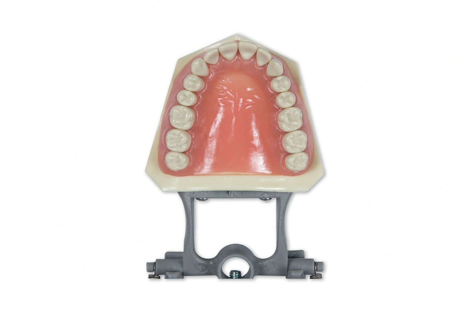 DENTAL TYPODONT 860 BUNDLE PACK 10 EXTRA MOLARS FITS COLUMBIA BRAND TEETH
