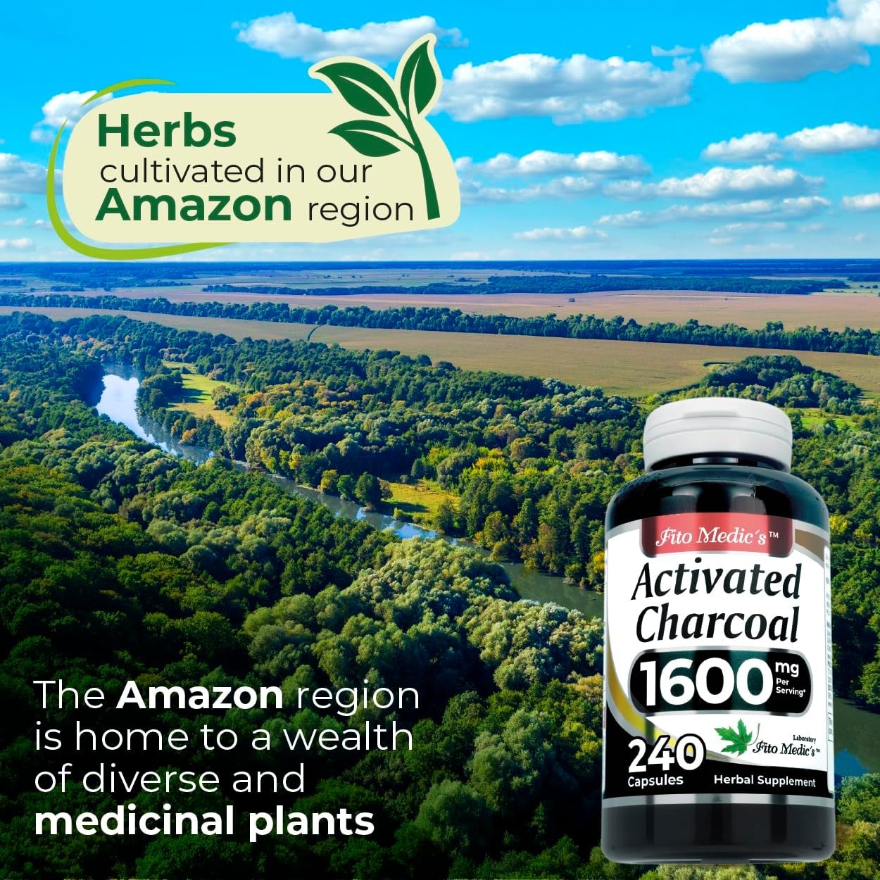 Lab | Activated Charcoal Pills| 1600 Mg per Serving | 240 Caps | Activated Charc
