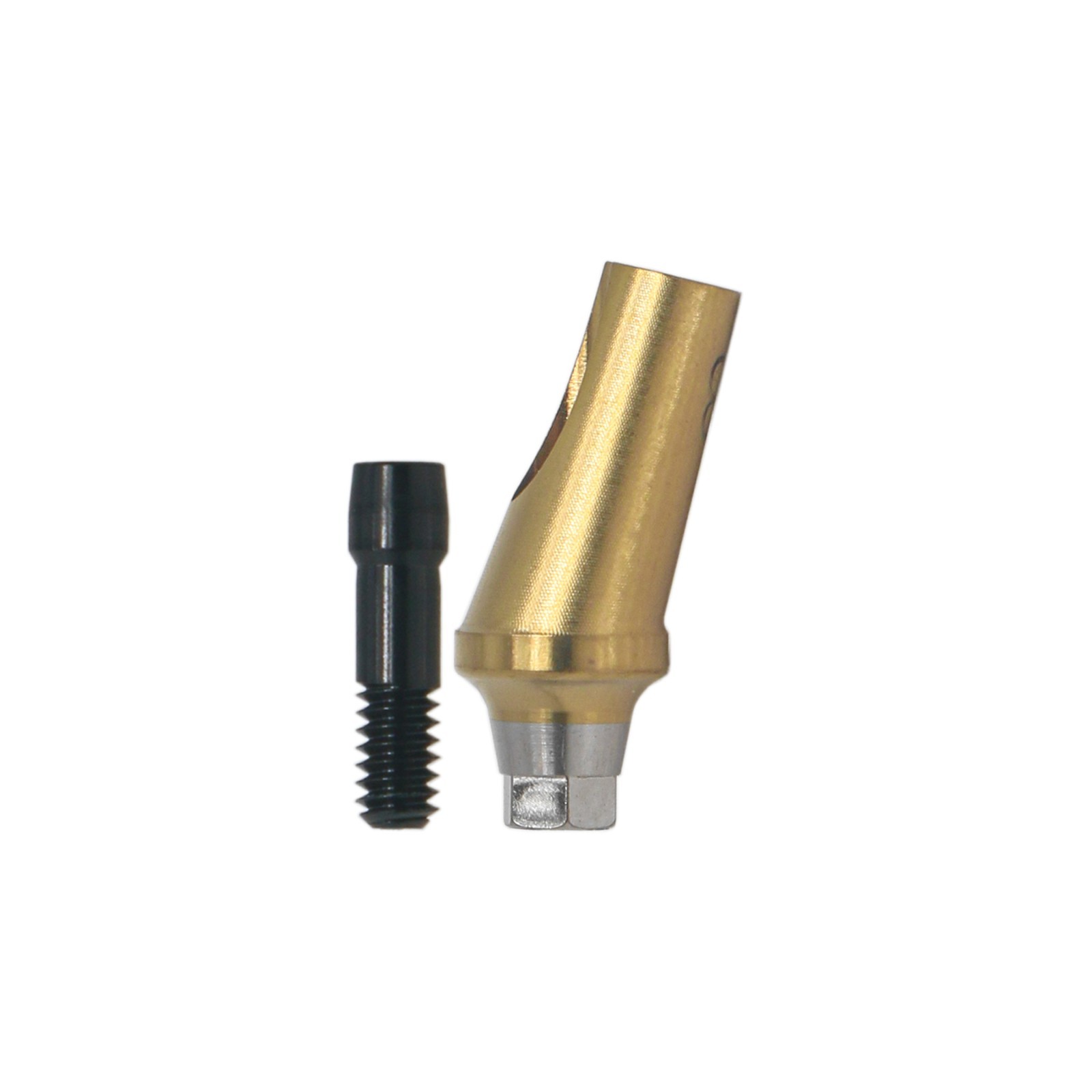 Angulated Anatomic abutment 30°Mini/Regular B Type for Hiossen Osstem TS Implant