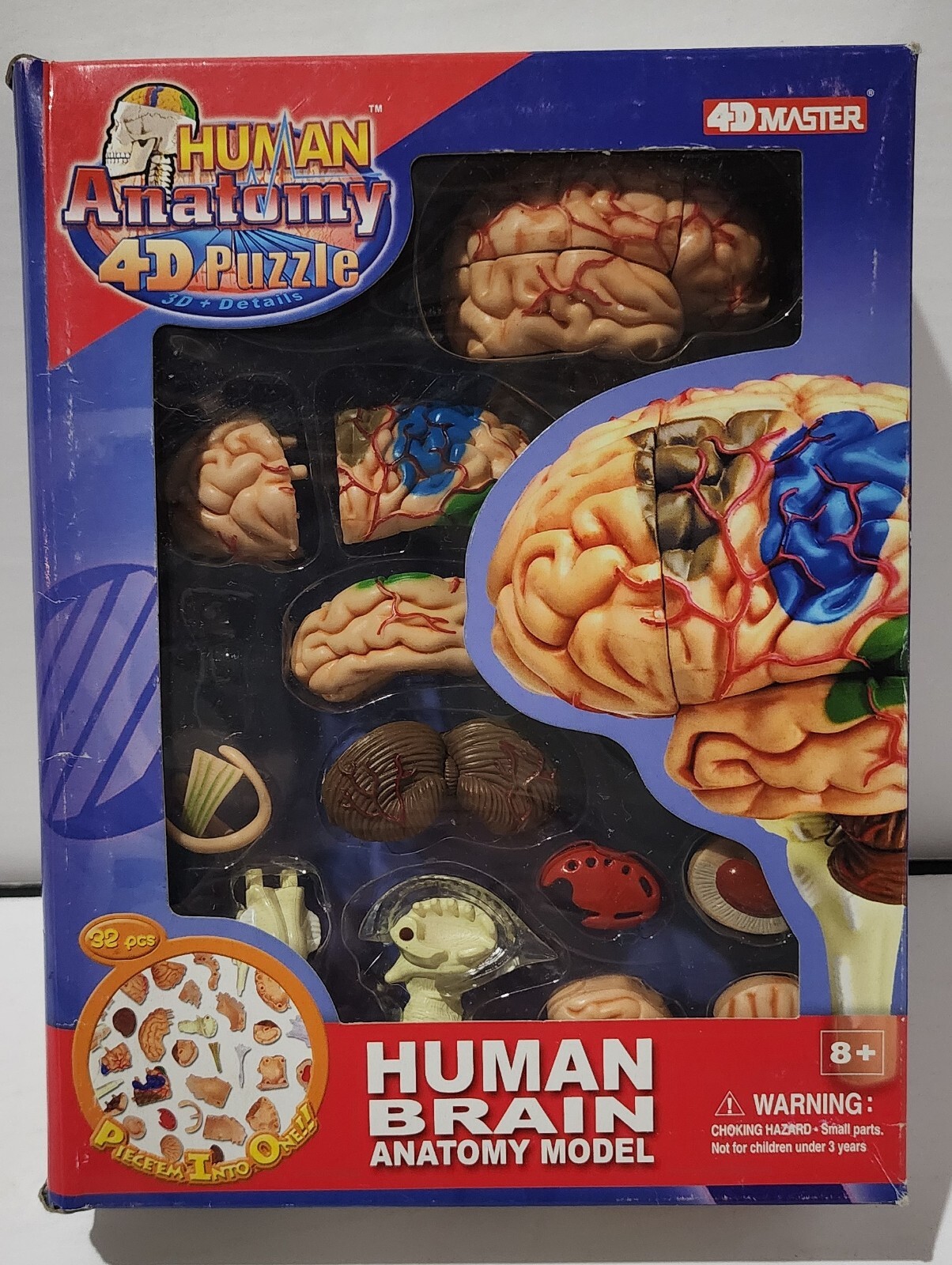 4D Master 2005 NEW Human Brain Anatomy Puzzle 26056 FREE SHIPPING