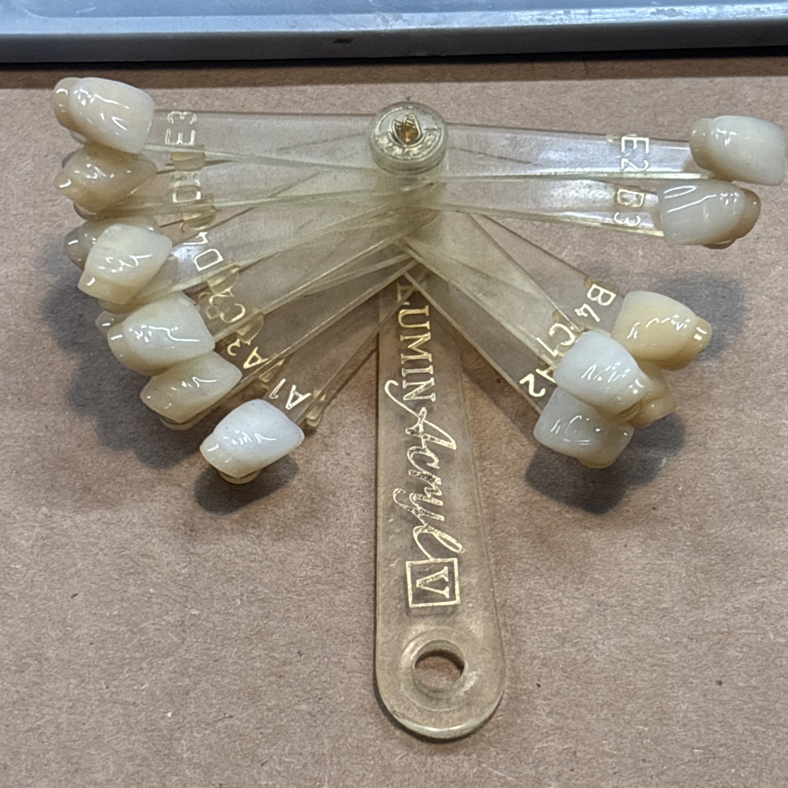 Lumin-VACUUM Teeth Denture Shade Guide Lot Made in Germany