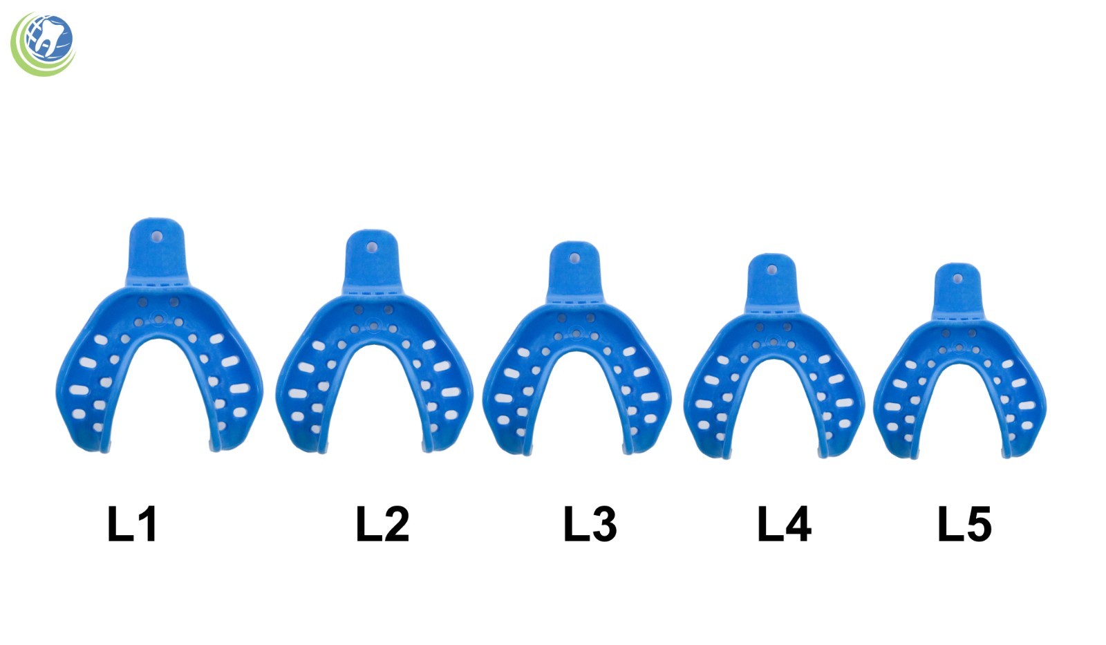Dental Plastic Edentulous Disposable Impression Trays Autoclavable Lower 5 Sizes