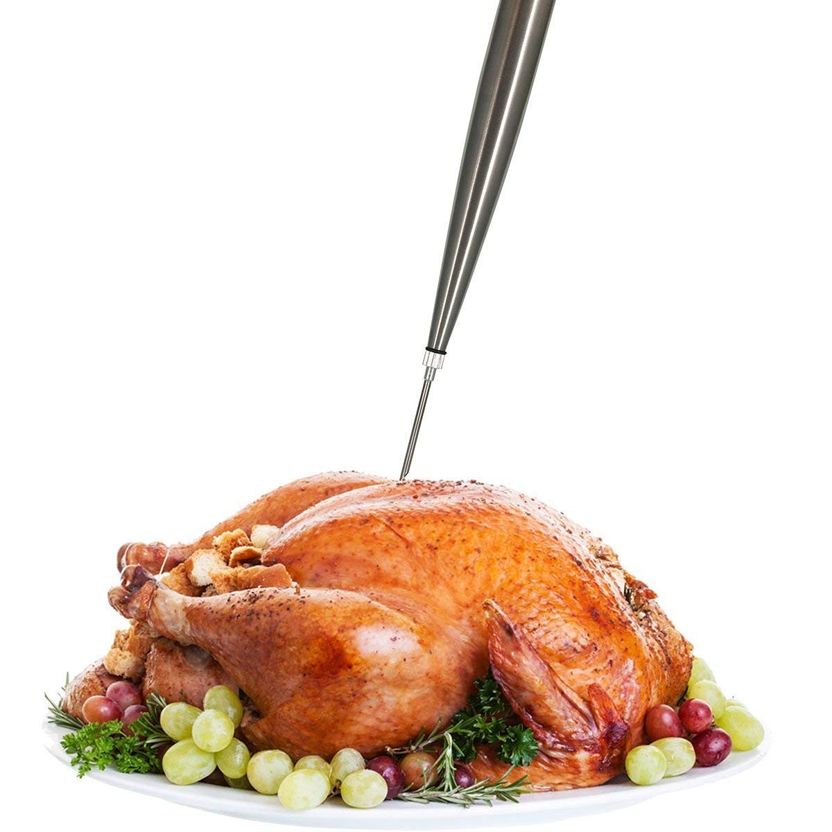 Home Servz 304 Stainless Steel Turkey Baster Syringe 27*6*6CM, Black,silver