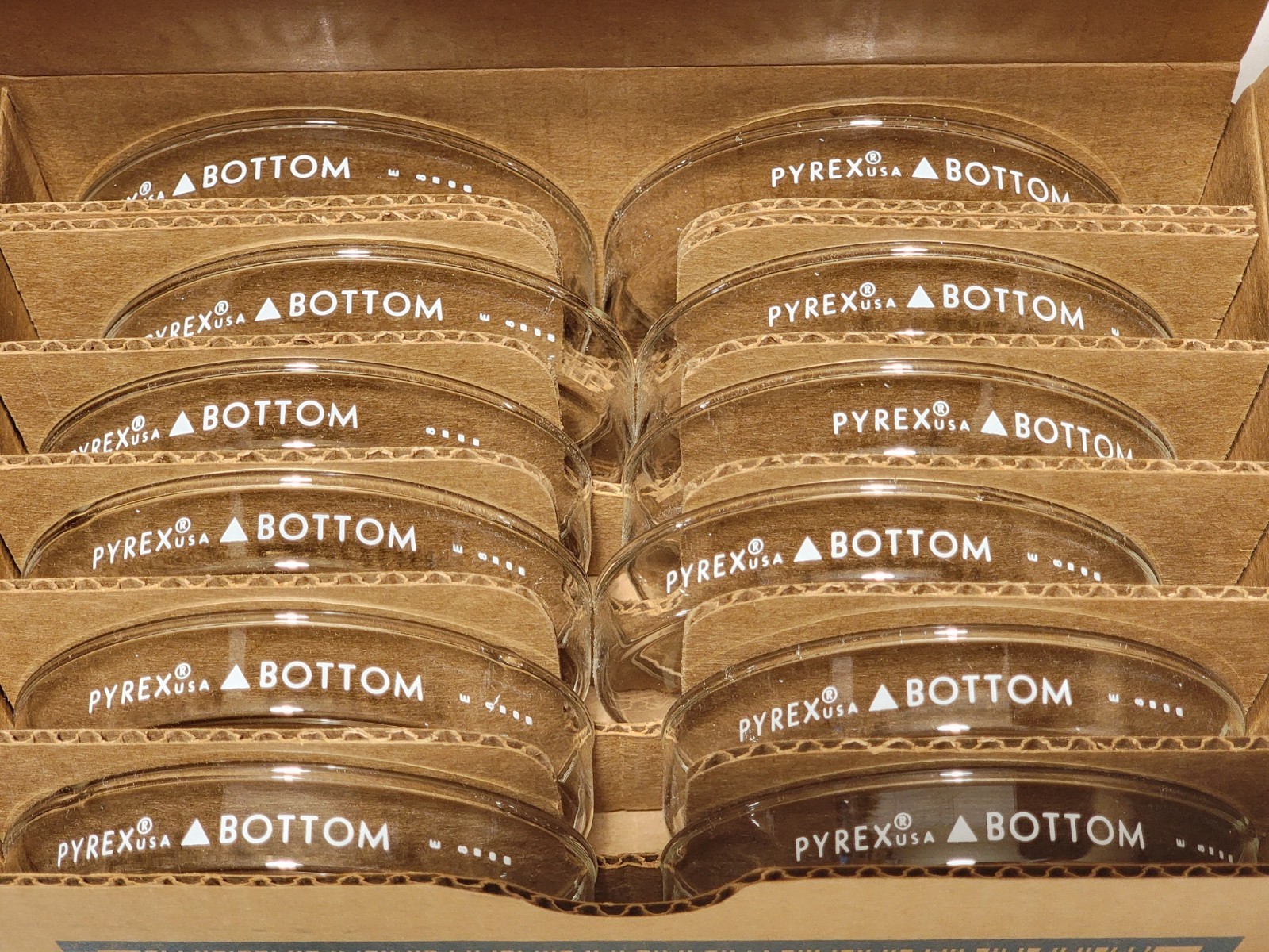 12 X Pyrex Lab Culture Petri Dish Bottoms 100mm X 15mm 3160-101BO Glass 422310