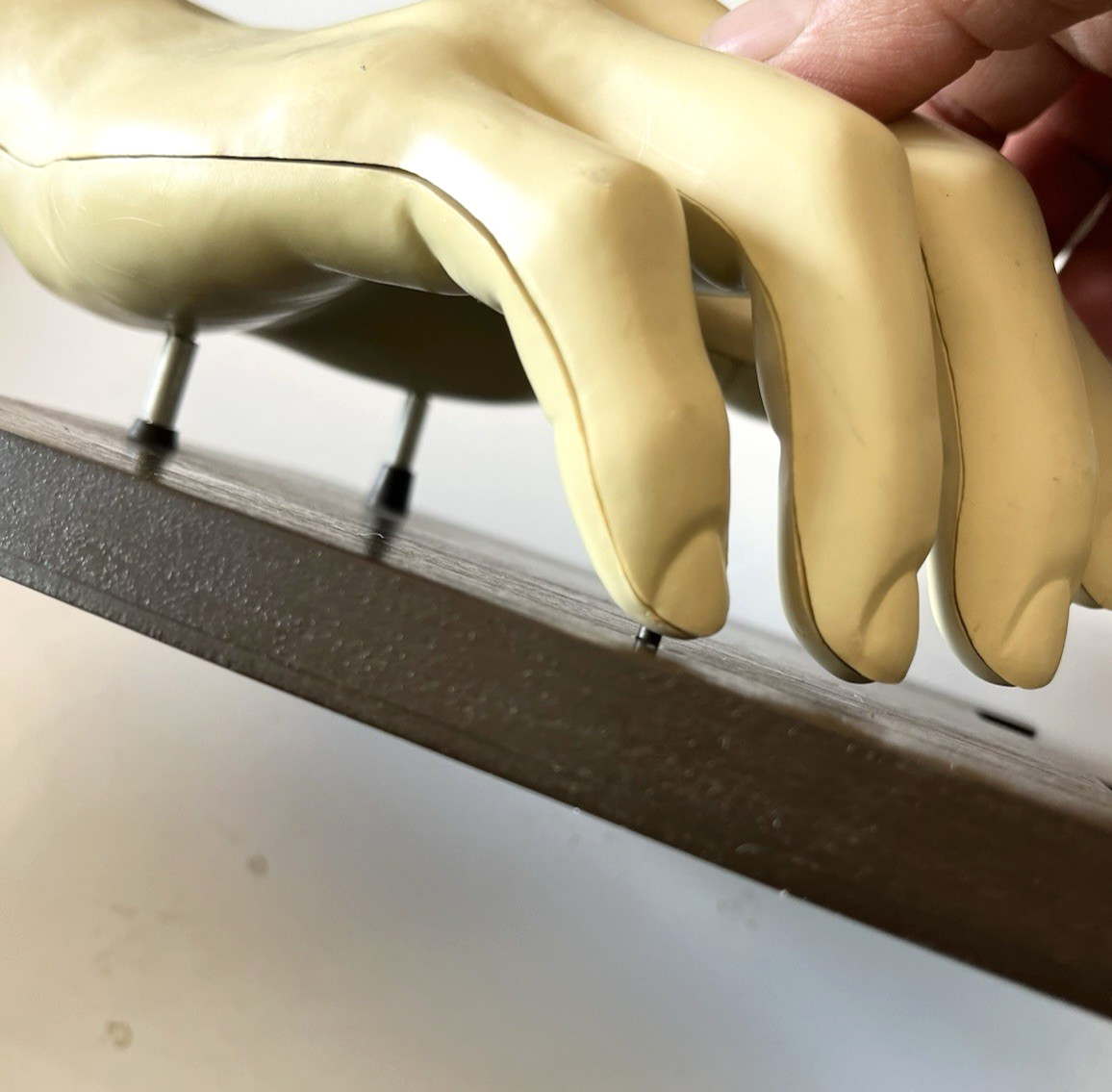 Vintage Merck Anatomical Medical Hand Model Indocin With Booklets 1967 Display