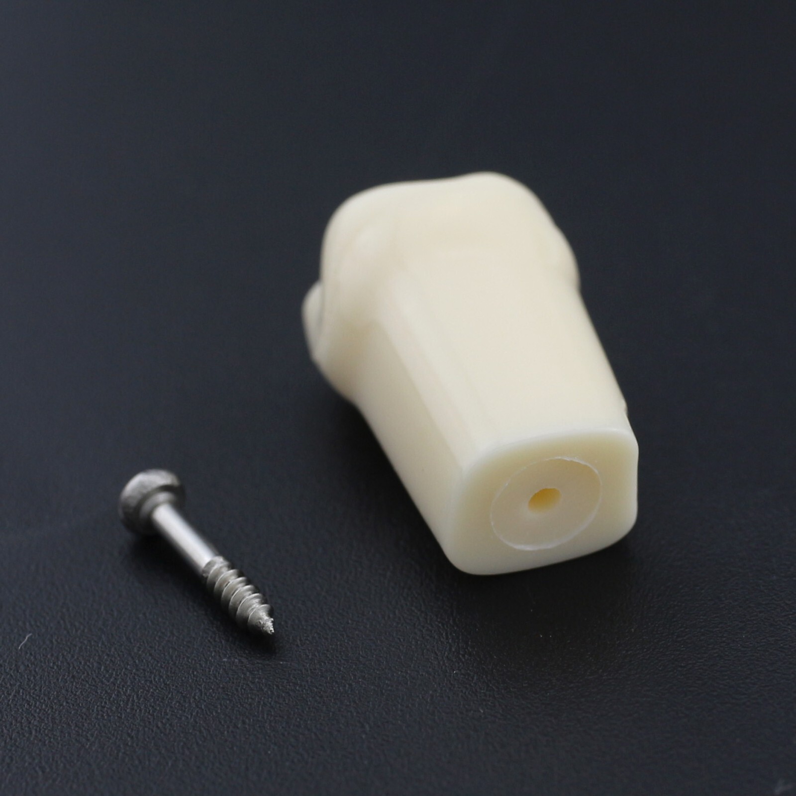 US Kilgore Nissin 200 Type Dental Typodont Model 32pcs Removable Teeth