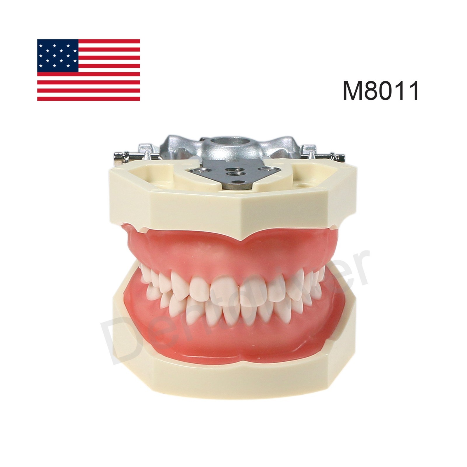 US Dental Typodont Model Mounting Pole Compatible with Columbia/Kilgore/Nissin