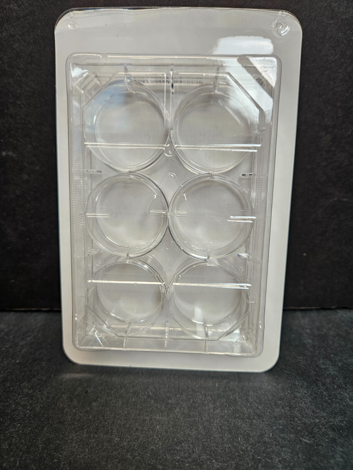 Fisherbrand Microplate 6 Well Flat Bottom 100 Plates